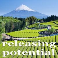 Releasing Potential (Cristian Paduraru Progressive House Mix)