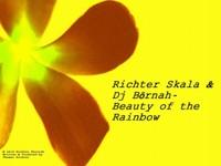 Beauty of the Rainbow (Original Mix)