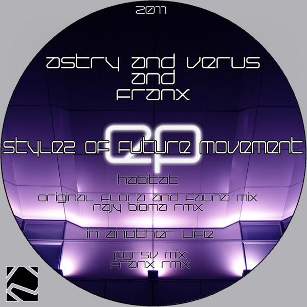 In Another Life (Franx Remix)