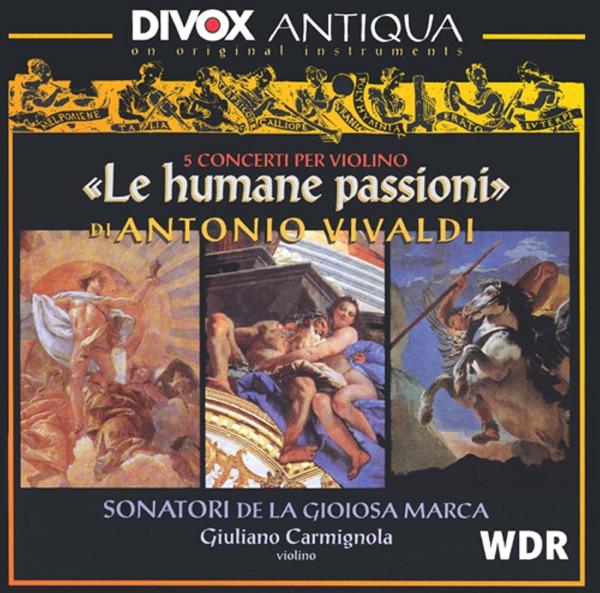 Violin Concerto In e Minor, Op. 11, No. 2, RV 277, "Il Favorito": I. Allegro