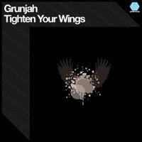 Tighten Your Wings (Andy Lansky Remix)