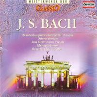Violin Concerto in E major, BWV 1042: I. Allegro
