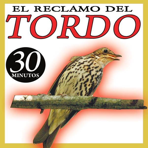 Reclamo Para Tordo (II) Sonido Pajaros Zorzal