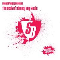 Arabian Night (StoneBridge Remix Edit)