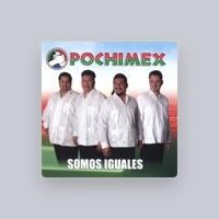 Pochimex