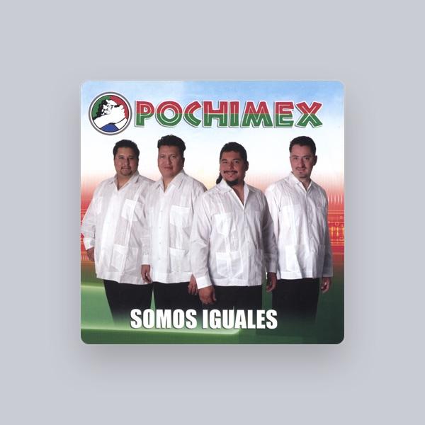 Pochimex