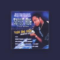 Space Hog The Boss