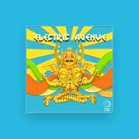 Electric Avenue Band