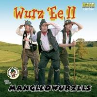 Beta Vulgaris Vulgaris (The Mangold-wurzel)