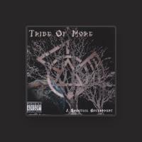 Tribe Of More