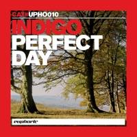 Perfect Day (Original Mix Edit)