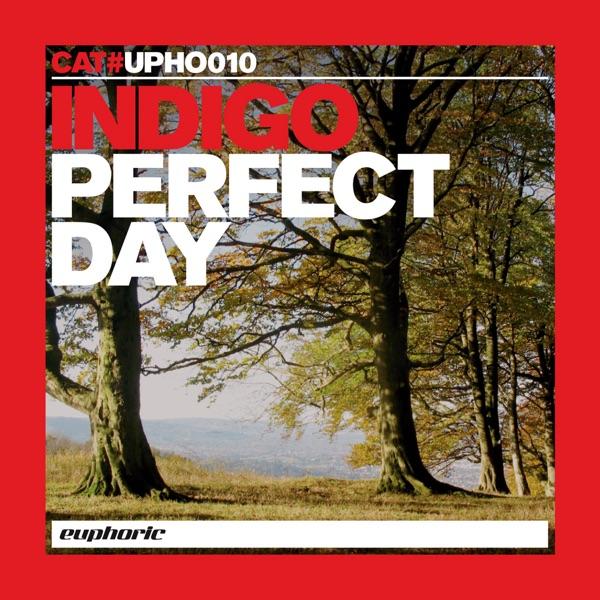 Perfect Day (Original Mix Edit)