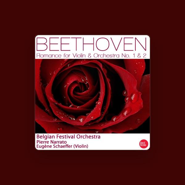 Belgian Festival Orchestra