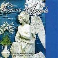 Lady of Angels