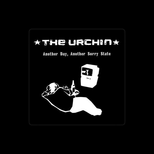 Urchin