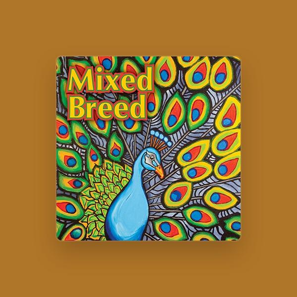 Mixed Breed