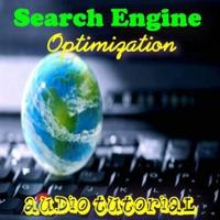 Final Thoughts and Website Information