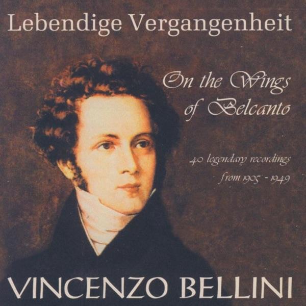 La Sonnambula: Come per me sereno