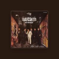 Traficantes Del Merengue