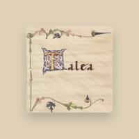 Talea