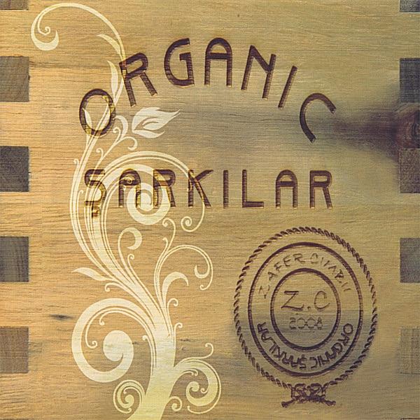 Aslancik