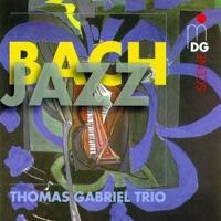 Concerto No. 1, BWV 1052, D minor: II. Adagio