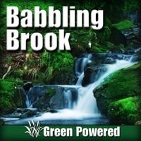 Gently Flowing Water Healing the Soul