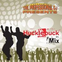 The Hucklebuck Medley : Don't Lose Your Hucklebuck Shoes / Do the Hucklebuck (feat. Danny Supply) [162 bpm]