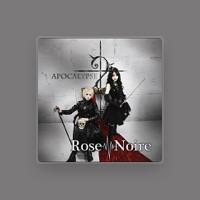 Rose Noire