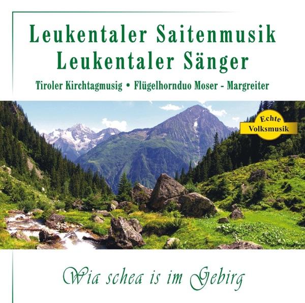 Da Aussischmeisser (Akkordeonbesetzung)