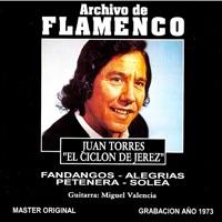 Un Ramo de Rosas Rojas