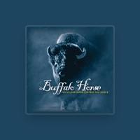 Buffalo Horse