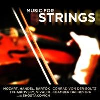 Divertimento for Strings, Sz 113, BB 118: III. Allegro assai