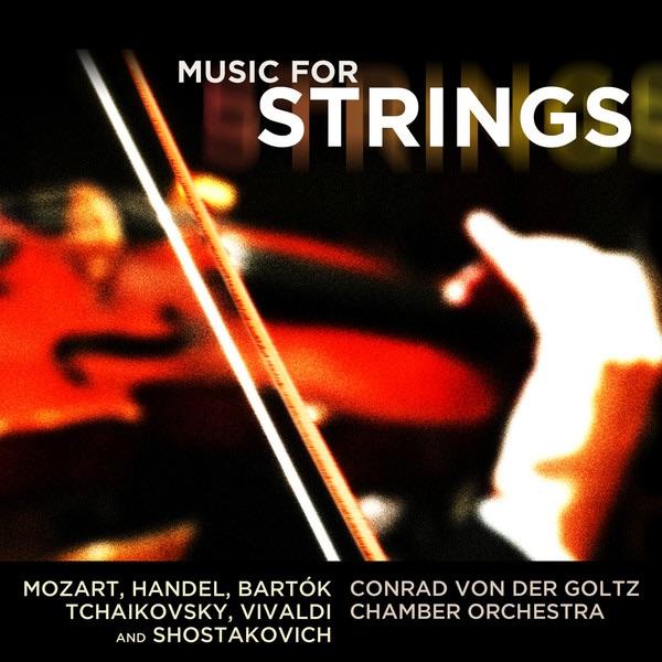 Divertimento for Strings, Sz 113, BB 118: II. Molto adagio