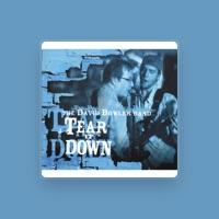 The David Bowler Band