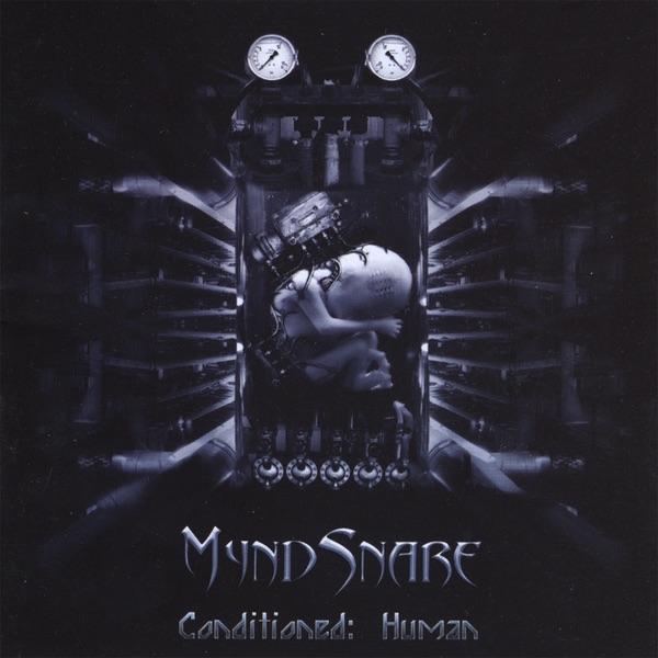 Mirror of Nothingness