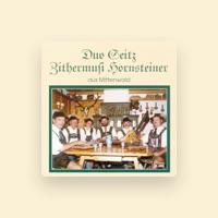 Zithermusi Hornsteiner