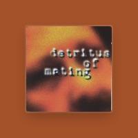 Dennis Bathory-Kitsz