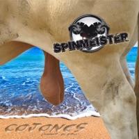 Cojones (Balkan Radio)