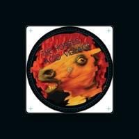 The Horses