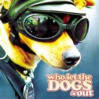 Who Let the Dogs Out