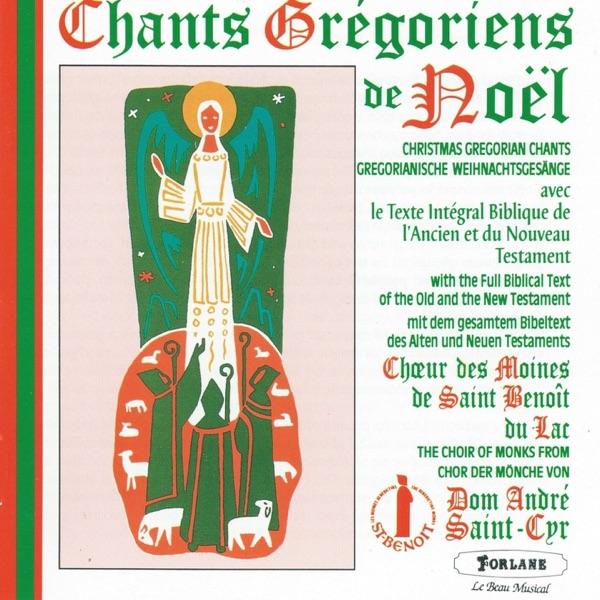 Sanctus 8 : Ve mode (Luc 2,20)