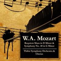Requiem Mass in D Minor, K. 626: I. Introitus (Requiem Aeternam): Kyrie