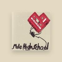 Mile High School
