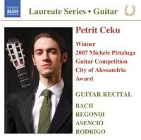 Elogio de la guitarra: III. Allegro
