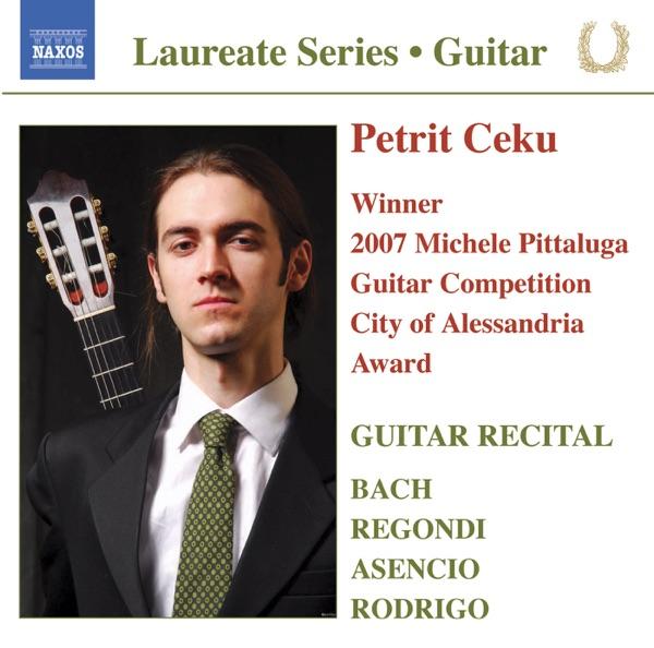 Elogio de la guitarra: III. Allegro