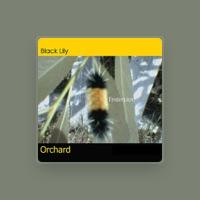 Black Lily Orchard