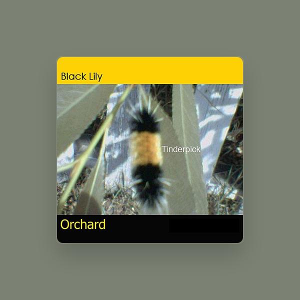 Black Lily Orchard