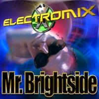 Mr. Brightside (Vocappella Mix)