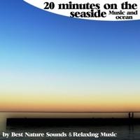 20 Minutes On the Seaside : Perfect Ocean